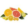 Fresh Products Eco Bowl Clip Air Freshener Versatile Design Toilet Freshener Trash Freshener Chemical Free Natural Oils Discreet Lasts 30 Days Made in the USA Cucumber Melon 12 pk(Multi)
