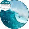 Fresh Products Eco Bowl Clip Air Freshener Versatile Design Toilet Freshener Trash Freshener Chemical Free Natural Oils Discreet Lasts 30 Days Made in the USA Cucumber Melon 12 pk(Light Blue)