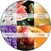 Fresh Products Eco Bowl Clip Air Freshener Versatile Design Toilet Freshener Trash Freshener Chemical Free Natural Oils Discreet Lasts 30 Days Made in the USA Cucumber Melon 12 pk(Variety Pack)