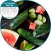 Fresh Products Eco Bowl Clip Air Freshener Versatile Design Toilet Freshener Trash Freshener Chemical Free Natural Oils Discreet Lasts 30 Days Made in the USA Cucumber Melon 12 pk(Cucumber Melon)